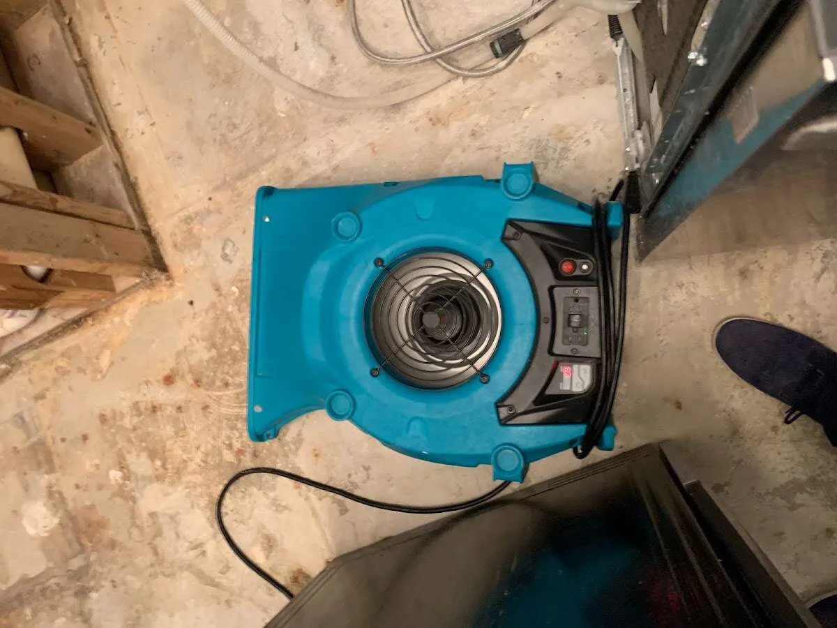 Air mover drying equipment for Mold Remediation & Removal in Oak Park